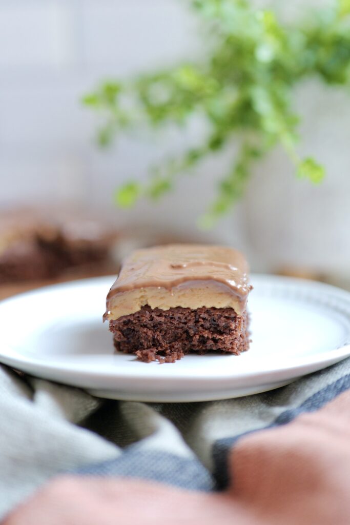 Gluten-free brownie with peanut butter